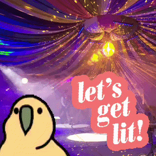 Party GIF