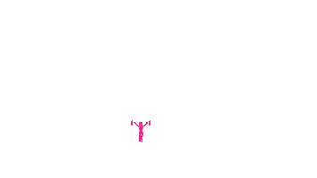Fit Sticker by SiVeste . Moda Fitness