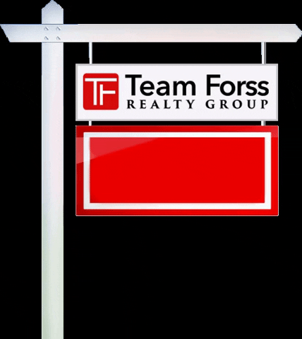 Team Forss GIF