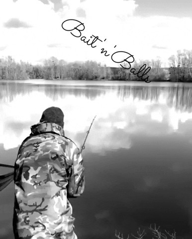 Baitnballs GIF