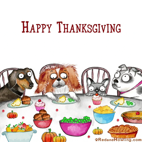 Image result for dog at thanksgiving animated gif