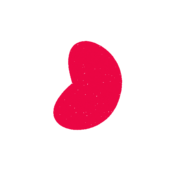 Nier Sticker by Nierstichting Nederland