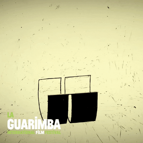 No Way What GIF by La Guarimba Film Festival