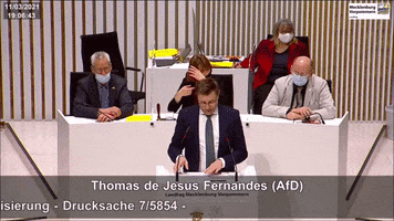 AfD- Fraktion MV GIF
