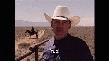Yes GIF by Better Call Saul