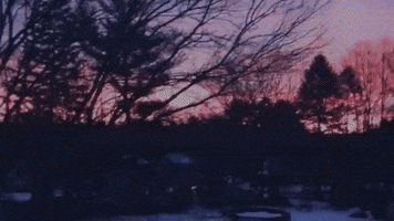 Sunrise Subscribe GIF