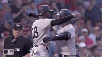 Major League Baseball Hug GIF by New York Yankees