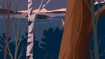 picturepressplay landscape wood woodpecker pecker GIF