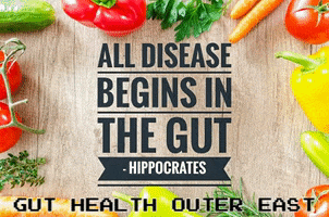 Gut Health Outer East GIF