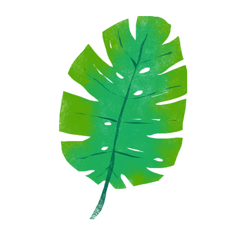 Leaf Linea Sticker by lineaorganica
