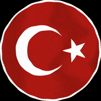 Turkish Flag GIF by cinfikir ajans