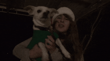 meanbeanprod cute dog cat person that was unexpected punt dog GIF