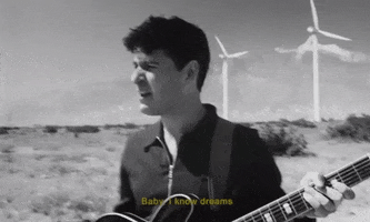 vampire weekend this life GIF