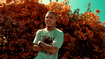 fall signs of jealousy GIF by Lil Skies