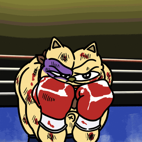 Fat Cat Fighting GIF by ChonkyCom