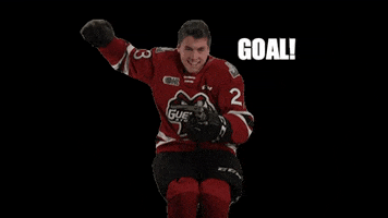 Ohl Guelph GIF by GuelphStormHockey
