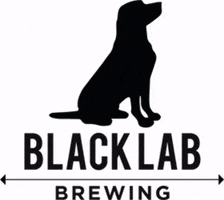 BlackLabBeer black lab brewing black lab beer black lab logo GIF