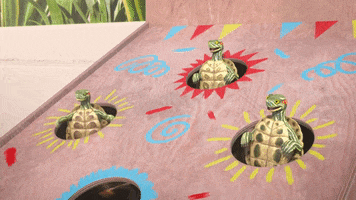 Happy Turtles GIF by MightyMike
