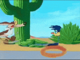 Road Runner GIFs - Find & Share on GIPHY