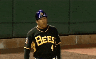 SaltLakeBees dance baseball dab bee GIF