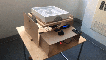 Animated GIF