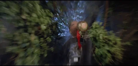 say what martial arts GIF by Shaw Brothers