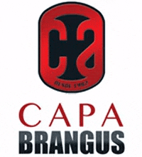 CAPA BRANGUS GIF