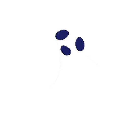 Spooky Sticker