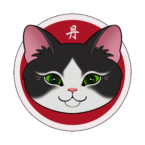 Cat No Sticker