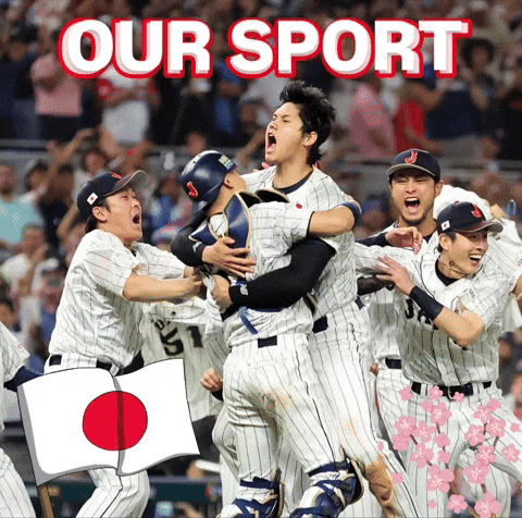 Japan Baseball GIF