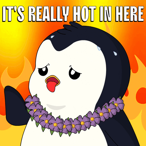 Summer Burn GIF by Pudgy Penguins