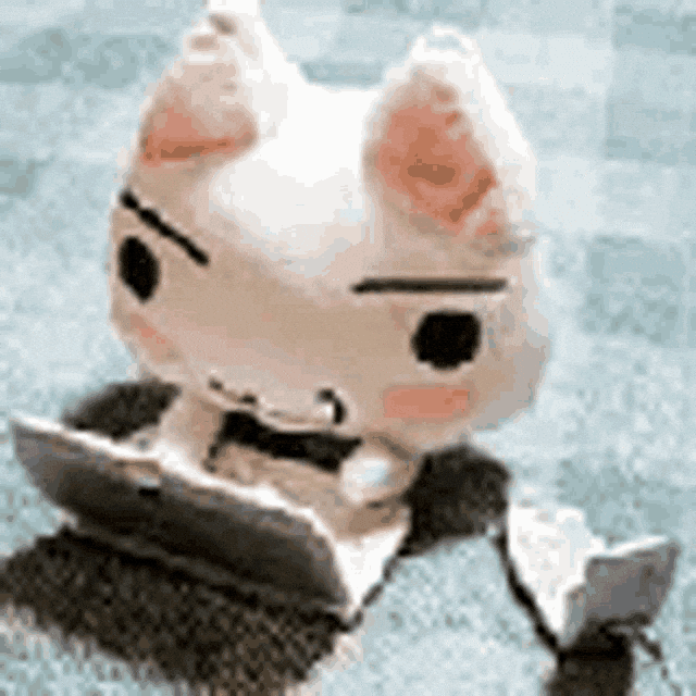Cat GIF