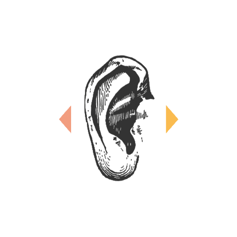 Noj estudio Sticker