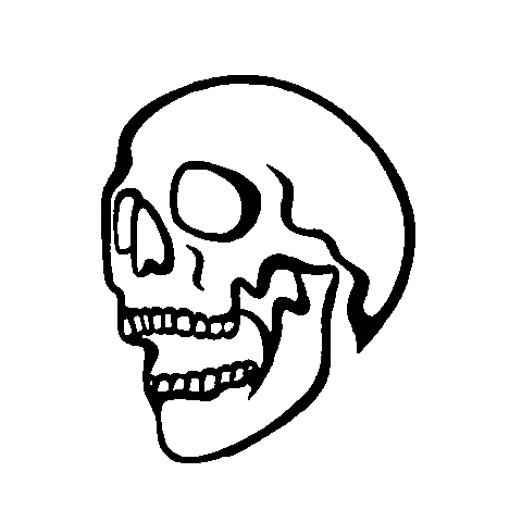 Skull Die Sticker