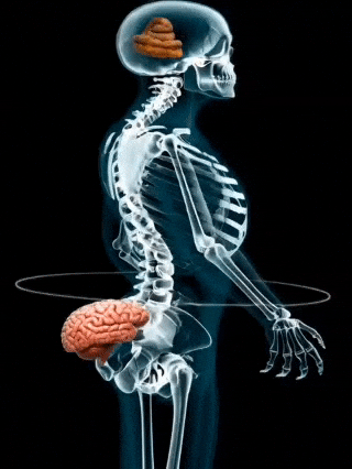 No Brain GIF