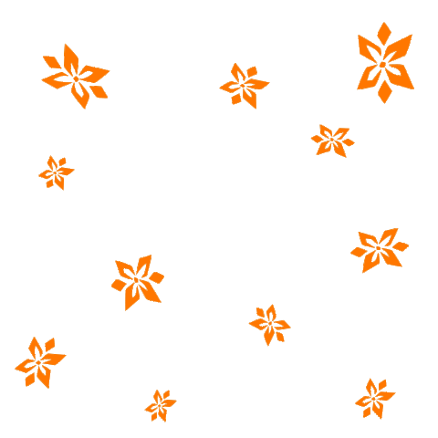 Bgbiancagibbon Sticker by BG