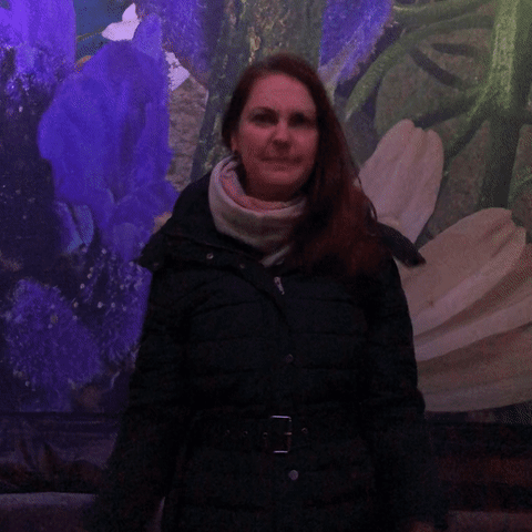 Leipzigtravel GIF