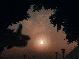 Moonlit Fools GIF by Sam Dew