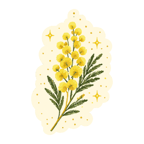 Mimosa Sticker by bormesmaville
