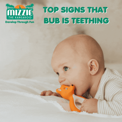 Mizzie The Kangaroo GIF