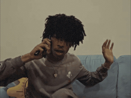 Rex GIF by 9th St Records