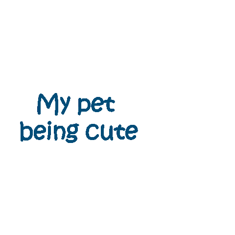 Dr Effie Rozi Sticker