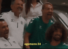 Sakarya Sakaryaspor GIF