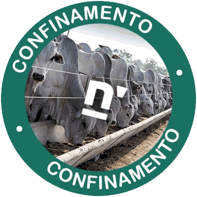 Confinamento Sticker by Connan - Geração de Resultados