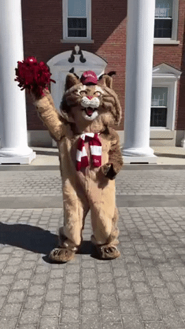 Cheer Hooray GIF by Bates College Alumni