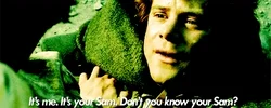 the lord of the rings don't you know your sam GIF