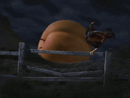 Tim Burton GIF