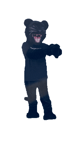 Academica Sticker by Somerset Panthers