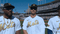 Dodgers-fan GIFs - Get the best GIF on GIPHY