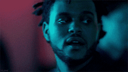 abel
